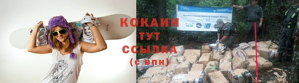 прущая мука Богородицк