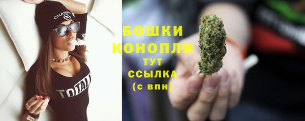 дживик Богданович