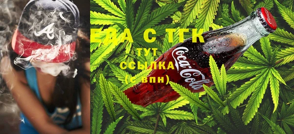 тгк Бородино