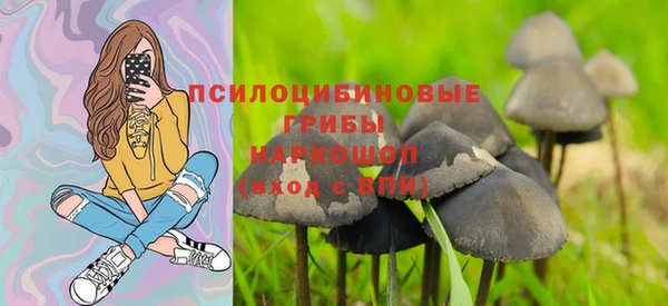 прущая мука Богородицк